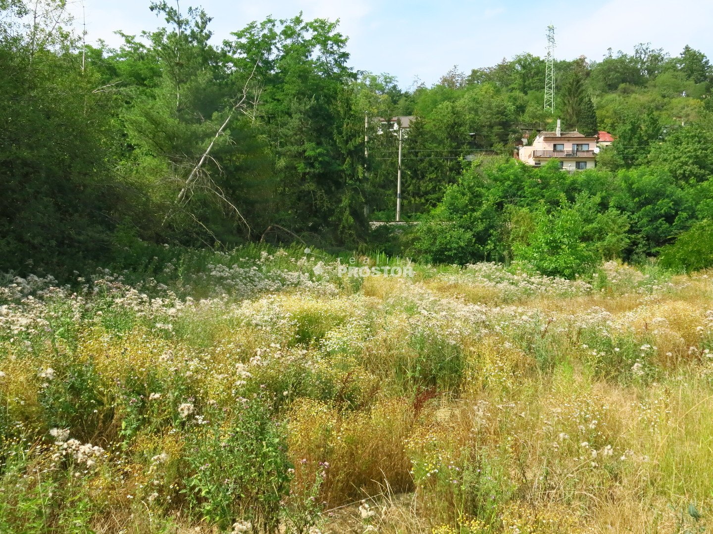 tn_zoom_filename_132888